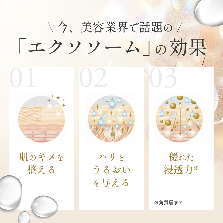 and eXRA FSV all Premium Cream（FSVオールプレミアムクリーム）